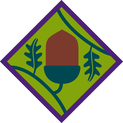 YL Basic Training Badge